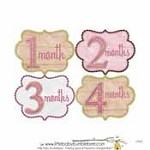 Monthly Baby Stickers - G072